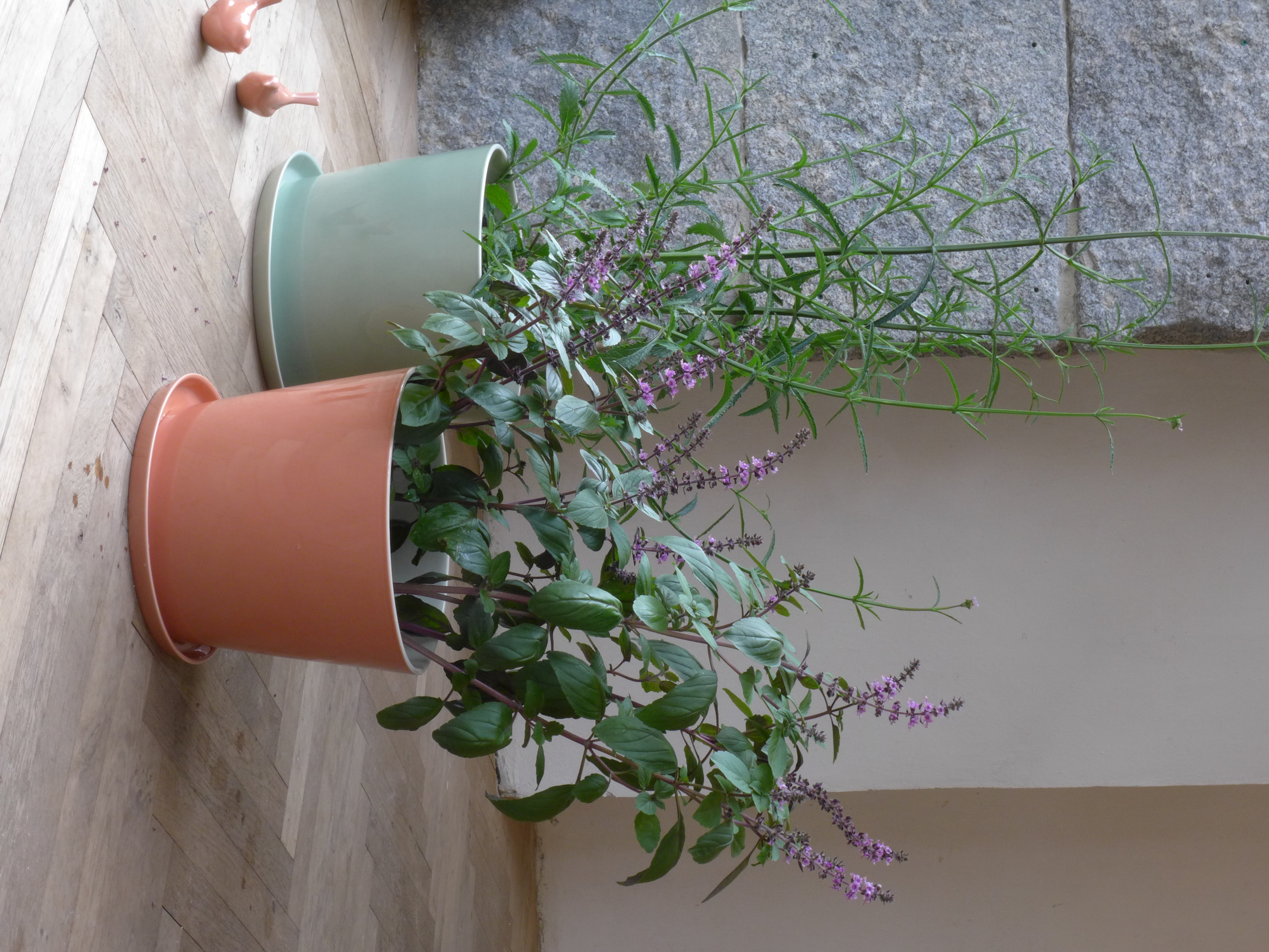 Anne Black Bloom Töpfe mit Pflanzen — handgemachte Keramik in verschiedenen Glasuren